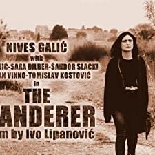 The Wanderer (2017) afişi