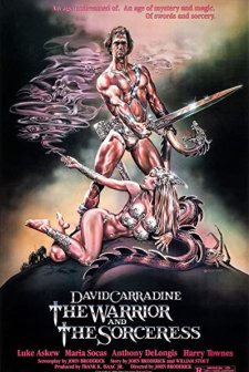 The Warrior And The Sorceress (1984) afişi