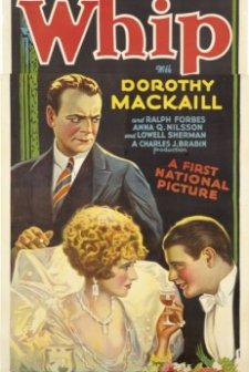 The Whip (1928) afişi