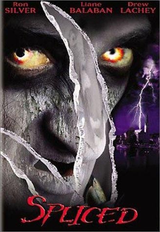 The Wisher (2002) afişi The Wisher (2002) afişi