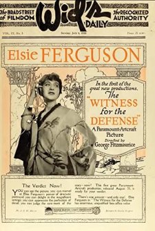 The Witness For The Defense (1919) afişi