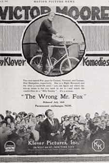 The Wrong Mr. Fox (1917) afişi