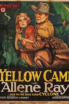 The Yellow Cameo