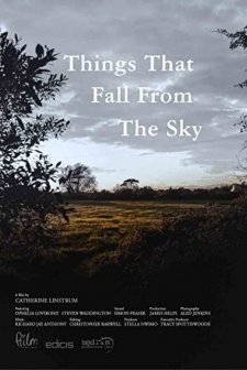 Things That Fall from the Sky (2016) afişi