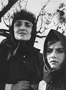 Toka Jonë (1964) afişi