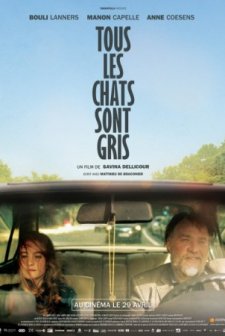 Tous Les Chats Sont Gris (2014) afişi