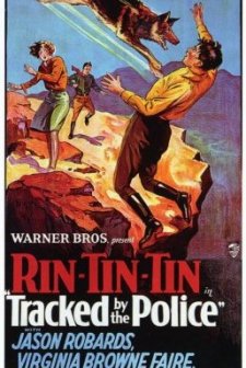 Tracked By The Police