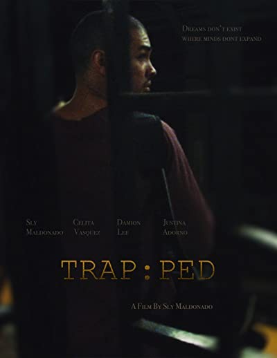 Trapped (2017) afişi Trapped (2017) afişi