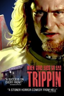 Trippin (2011) afişi
