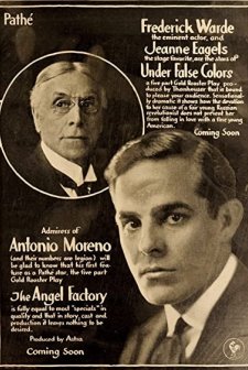 Under False Colors (1917) afişi