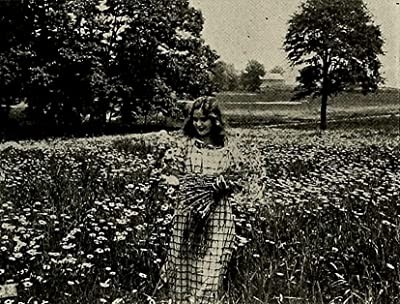 Under The Daisies; Or, As A Tale That ıs Told (1913) afişi Under The Daisies; Or, As A Tale That ıs Told (1913) afişi