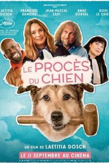 Who Let the Dog Bite?