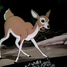 Wacky Wildlife (1940) afişi