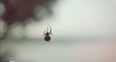 Web (2011) afişi Web (2011) afişi