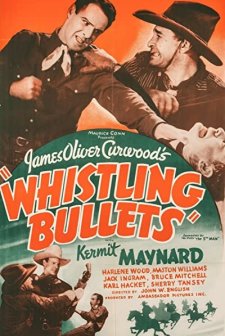 Whistling Bullets (1937) afişi