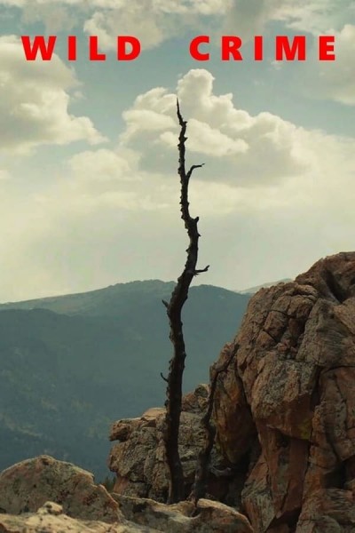 Wild Crime (2021) afişi