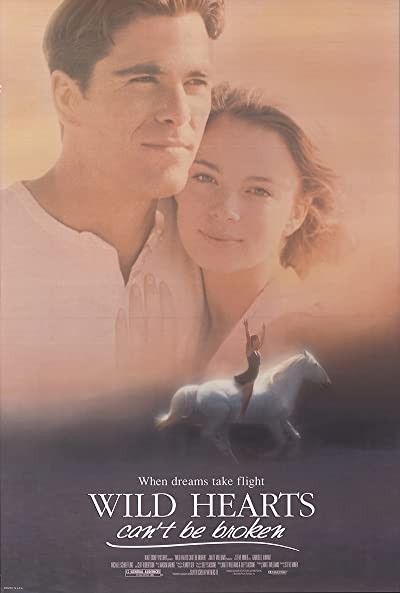 Wild Hearts Can't Be Broken (1991) afişi Wild Hearts Can't Be Broken (1991) afişi