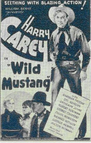 Wild Mustang (1935) afişi Wild Mustang (1935) afişi
