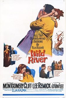 Wild River (1960) afişi
