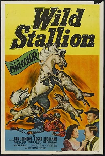 Wild Stallion (1952) afişi Wild Stallion (1952) afişi