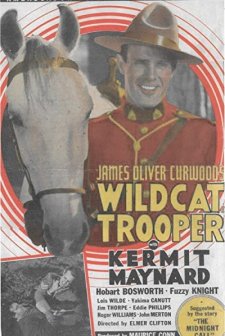 Wildcat Trooper (1936) afişi