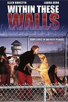 Within These Walls (2001) afişi