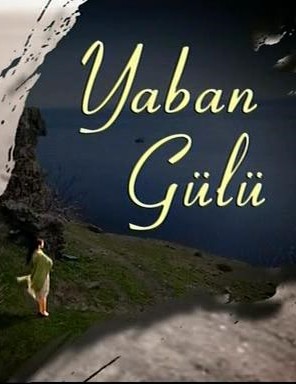 Yaban Gülü (2008) afişi Yaban Gülü (2008) afişi
