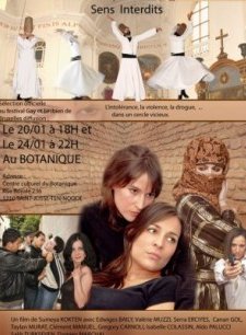 Yasak Hisler (2008) afişi