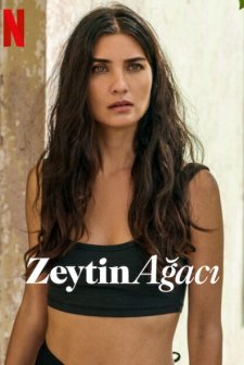 Zeytin Ağacı (2022) afişi