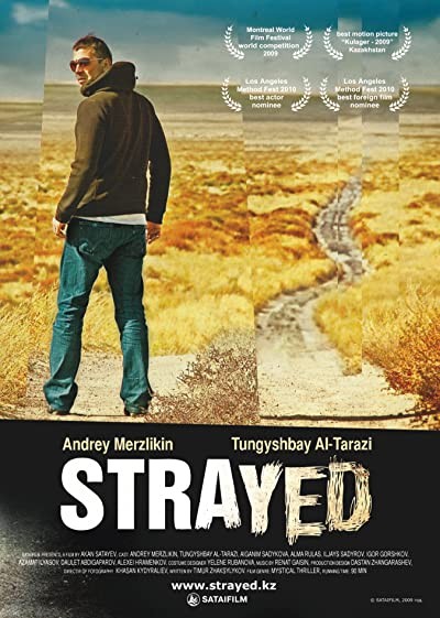 Zabludivshiysya (2009) afişi Zabludivshiysya (2009) afişi