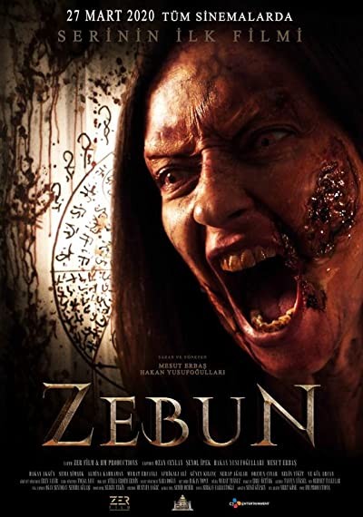 Zebun (2020) afişi Zebun (2020) afişi