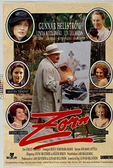 Zorn (1994) afişi