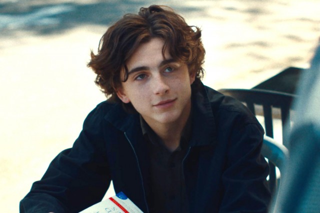 Timothée Chalamet Fotoğrafları 3