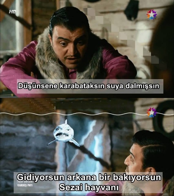 Şinasi Yurtsever Fotoğrafı