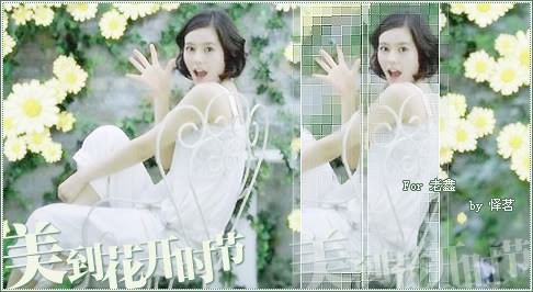 Han Ga In Fotoğrafı