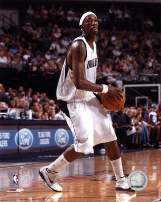 Josh Howard Fotoğrafı