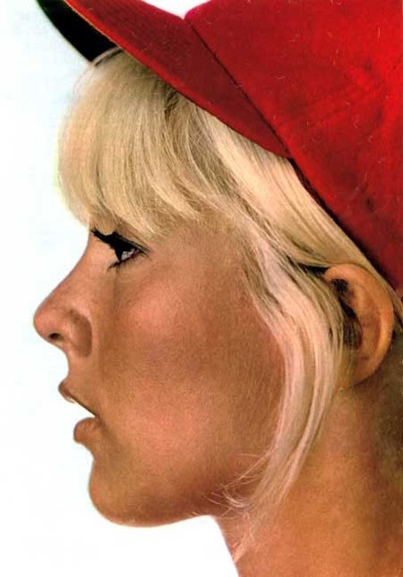 Sylvie Vartan Fotoğrafları 4