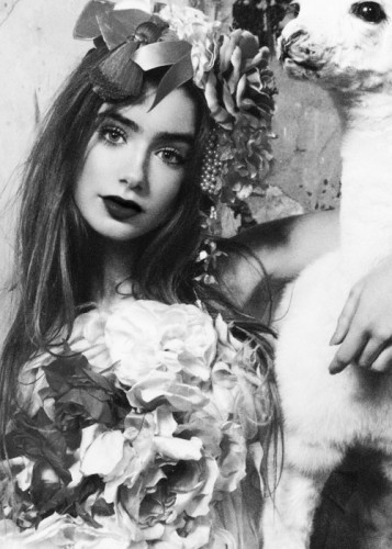 Lily Collins Fotoğrafı
