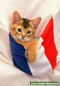 June Cunningham Fotoğrafı