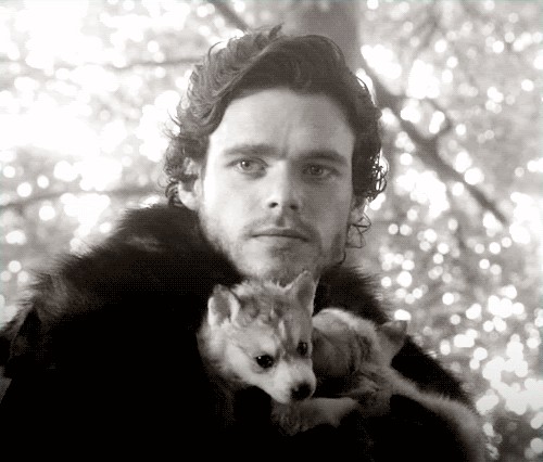 Richard Madden Fotoğrafları 7