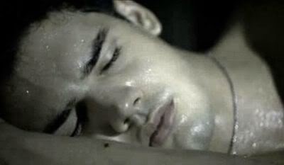 Steven Strait Fotoğrafları 46