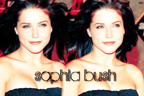 Sophia Bush Fotoğrafları 103