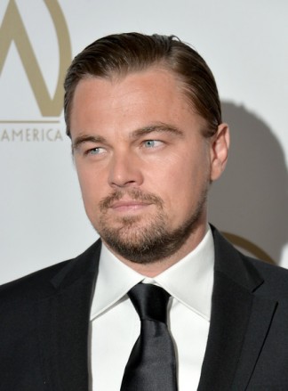 Leonardo DiCaprio Fotoğrafları 553