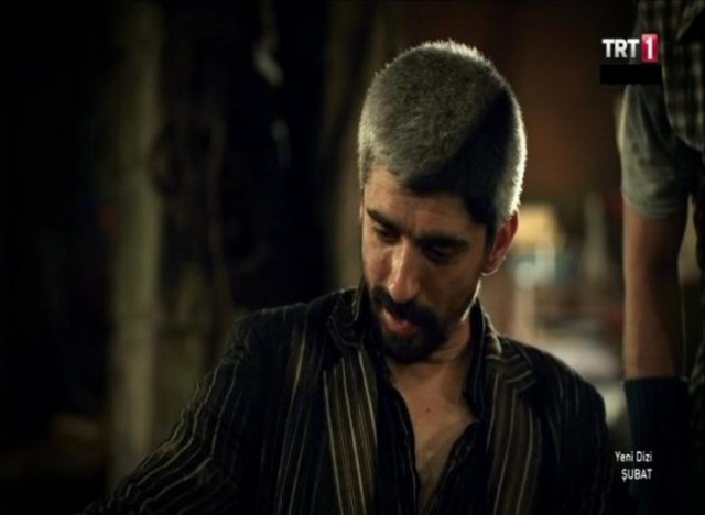 Asil Büyüközçelik Fotoğrafı