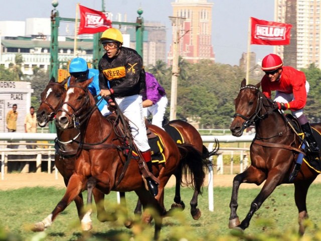 Salman Khan Fotoğrafı