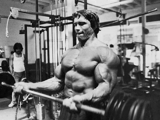 Arnold Schwarzenegger Fotoğrafları 42