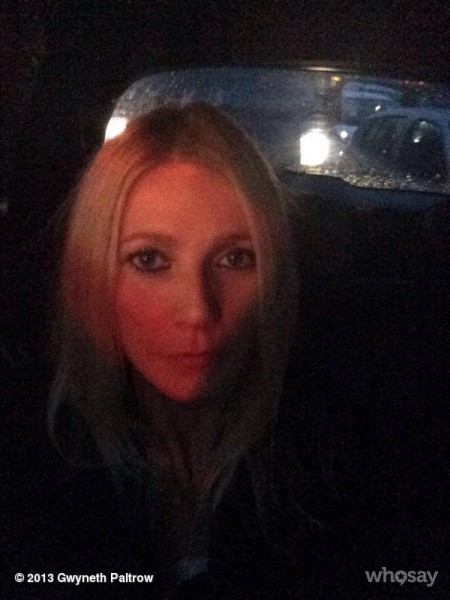 Gwyneth Paltrow Fotoğrafı