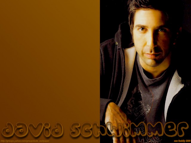 David Schwimmer Fotoğrafları 5