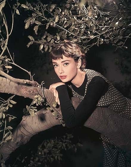 Audrey Hepburn Fotoğrafları 86