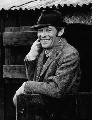 Peter O'Toole Fotoğrafları 24